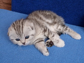 1920 X 1440 735.8 Kb 1920 X 1440 745.2 Kb  .   ( 30.03.14)