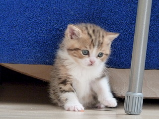 1920 X 1440 807.1 Kb 1920 X 1440 764.3 Kb  .   ( 30.03.14)