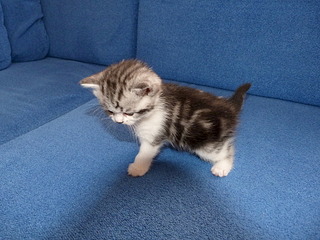 1920 X 1440 822.5 Kb  .   ( 30.03.14)