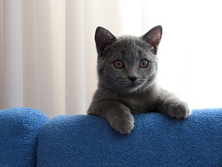 1920 X 1440 559.4 Kb  .   ( 30.03.14)