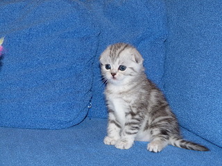 1920 X 1440 425.7 Kb  .   ( 30.03.14)