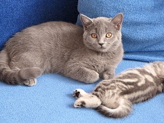 1920 X 1440 796.7 Kb 1920 X 1440 589.3 Kb 1920 X 1440 893.3 Kb  .   ( 30.03.14)