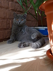 1920 X 2560 345.7 Kb 1920 X 1440 278.6 Kb  .   ( 30.03.14)