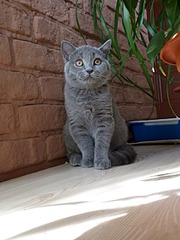 1920 X 2560 354.7 Kb 1920 X 2560 345.7 Kb 1920 X 1440 278.6 Kb  .   ( 30.03.14)