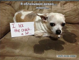 600 X 458  62.6 Kb Улыбнемся?