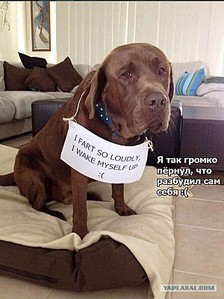 600 X 802  88.9 Kb 600 X 600  80.2 Kb 600 X 890 121.1 Kb Улыбнемся?