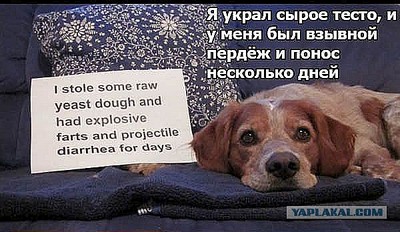 600 X 348  65.0 Kb 600 X 802  88.9 Kb 600 X 600  80.2 Kb 600 X 890 121.1 Kb Улыбнемся?