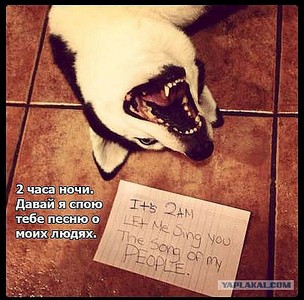 600 X 592  83.3 Kb 600 X 348  65.0 Kb 600 X 802  88.9 Kb 600 X 600  80.2 Kb 600 X 890 121.1 Kb Улыбнемся?