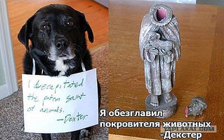 600 X 376  63.5 Kb Улыбнемся?