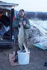 332 X 500 67.3 Kb Фотогаллерея рекордных уловов.