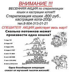 789 X 826 121.8 Kb    .    ? !