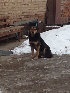 1536 X 2048 571.6 Kb ������ ������������ ������.