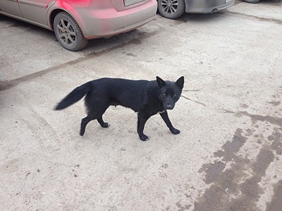 1920 X 1440 603.2 Kb ������ ������������ ������.