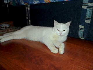 1920 X 1440 537.2 Kb    6    