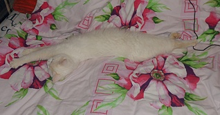 1920 X 1007 477.5 Kb 1920 X 1026 493.4 Kb 1920 X 1440 537.2 Kb    6    