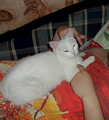 1920 X 2102 966.2 Kb 1920 X 1007 477.5 Kb 1920 X 1026 493.4 Kb 1920 X 1440 537.2 Kb    6    