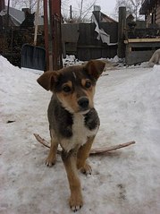 320 X 427 29.3 Kb 320 X 510 31.6 Kb - -   