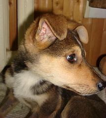 768 X 856  70.8 Kb - -   