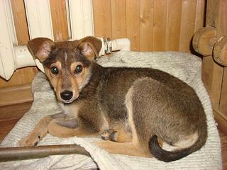 1024 X 768 107.2 Kb - -   