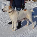 150 x 150 150 x 150 150 x 150    