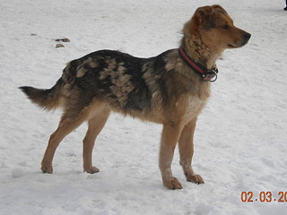 1920 X 1440 450.8 Kb  -      !