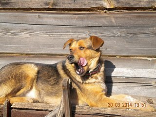 604 X 453  77.5 Kb  -      !