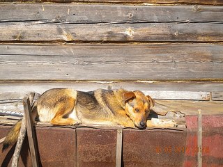 604 X 453  80.4 Kb  -      !