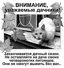 510 X 546 112.4 Kb 200 X 283  25.5 Kb 598 X 390  77.5 Kb 598 X 395 117.8 Kb    ! , !