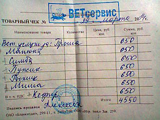 640 X 480 71.8 Kb Кошки в стационаре Ветсервиса. Нужна материальная помощь!