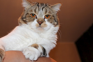 1920 X 1280 371.2 Kb        