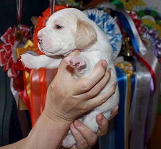 1627 X 1501 223.2 Kb 1016 X 1535 141.1 Kb -, !  'Prime Pride'