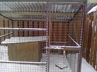 1600 X 1200 280.4 Kb 1600 X 1200 355.4 Kb 1600 X 1200 323.9 Kb 1600 X 1200 151.9 Kb 1600 X 1200 423.7 Kb   ( )   ?)