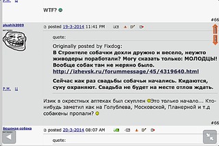 960 X 640 155.8 Kb Срочно! в Строителе травят собак!