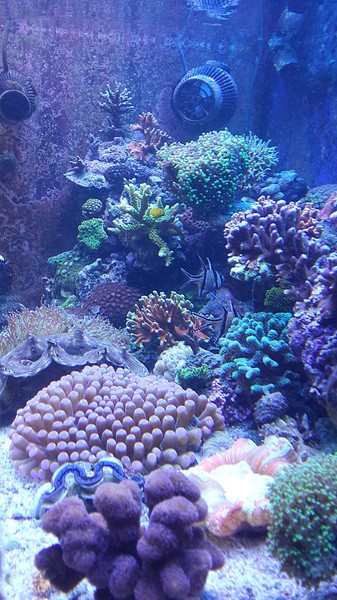 1920 X 3413 690.6 Kb Глубокое синее море.