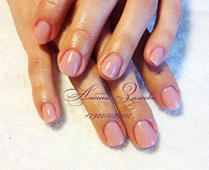 1920 X 1560 750.5 Kb ,  .