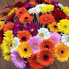 604 X 604 161.4 Kb Дом N7 по ул. Кунгурцева Е.М.