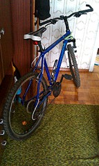 1552 X 2592 543.0 Kb    817  21  9000