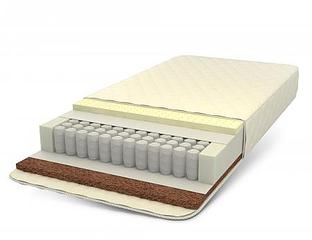 450 X 346 12.5 Kb  80200  