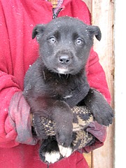 1920 X 2560 873.3 Kb 1920 X 2560 468.8 Kb 1920 X 2560 450.4 Kb ������ ������������ ������.