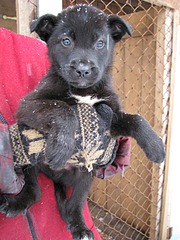 1920 X 2560 372.1 Kb 1920 X 2560 873.3 Kb 1920 X 2560 468.8 Kb 1920 X 2560 450.4 Kb ������ ������������ ������.