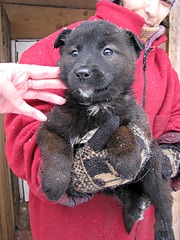 1920 X 2560 427.1 Kb 1920 X 2560 372.1 Kb 1920 X 2560 873.3 Kb 1920 X 2560 468.8 Kb 1920 X 2560 450.4 Kb ������ ������������ ������.