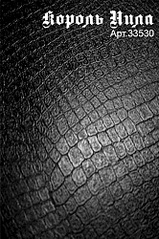 166 X 250  25.7 Kb    Allure c   Unifit    ArtVinyl