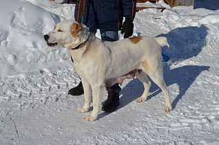 1920 X 1271 562.6 Kb 800 X 705 95.7 Kb    