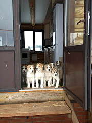 1920 X 2560 425.2 Kb 1920 X 1271 562.6 Kb 800 X 705 95.7 Kb    