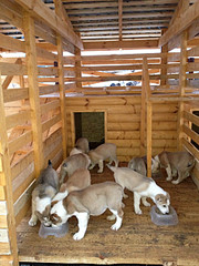 1920 X 2560 545.7 Kb 1920 X 2560 433.5 Kb 1920 X 2560 425.2 Kb 1920 X 1271 562.6 Kb 800 X 705 95.7 Kb    