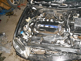 640 X 480 123.9 Kb 640 X 480 123.9 Kb 640 X 480 124.1 Kb     2008 .., 1.5 ,  !