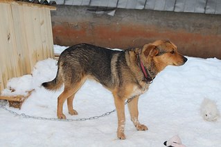 604 X 403  40.9 Kb  -      !