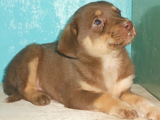 1000 X 750 242.7 Kb 2  