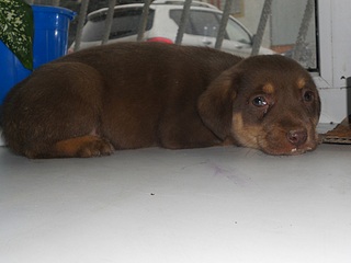 1000 X 750 198.7 Kb 1000 X 750 200.9 Kb 1000 X 750 281.2 Kb 1000 X 750 242.7 Kb 2  