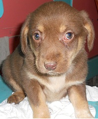 612 X 740 222.2 Kb 1000 X 750 198.7 Kb 1000 X 750 200.9 Kb 1000 X 750 281.2 Kb 1000 X 750 242.7 Kb 2  